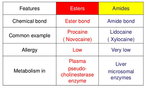 pharmacology-of-dental-local-anesthesia