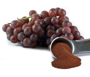 grapeseed-extract-powder