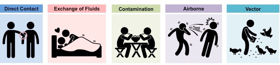 disease-transmission