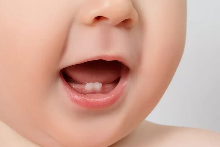 baby's small teeth