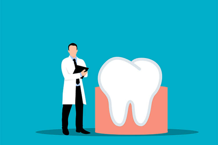 a dentist standing next to a large tooth